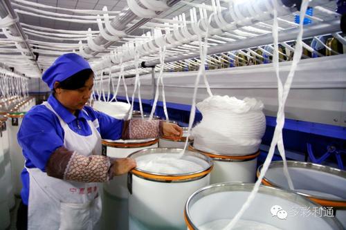 天津纺织集团加快转型调整　实现高质量发展