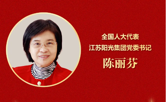 陈丽芬：以数字化、智能化加快传统制造业转型